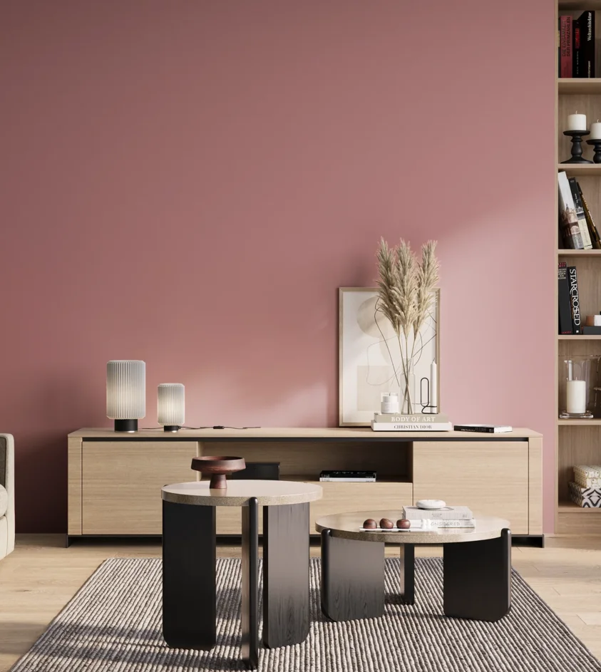 P10_SNIEZKA_salon_01_poranek_GREY_S2030-R10B