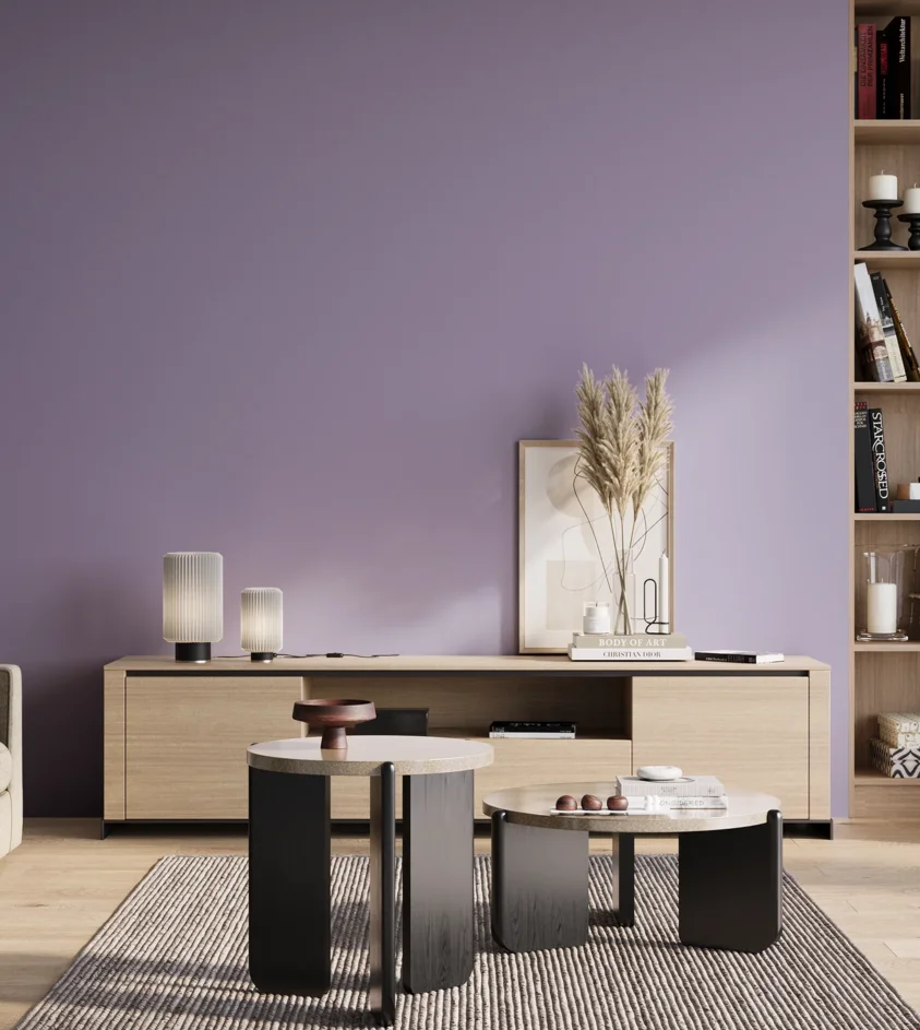 P10_SNIEZKA_salon_01_poranek_GREY_S2030-R60B