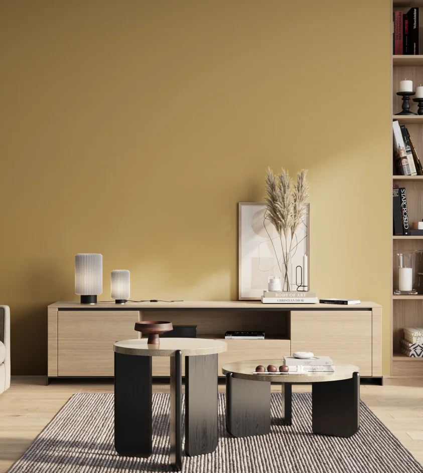 P10_SNIEZKA_salon_01_poranek_GREY_S2030-Y10R