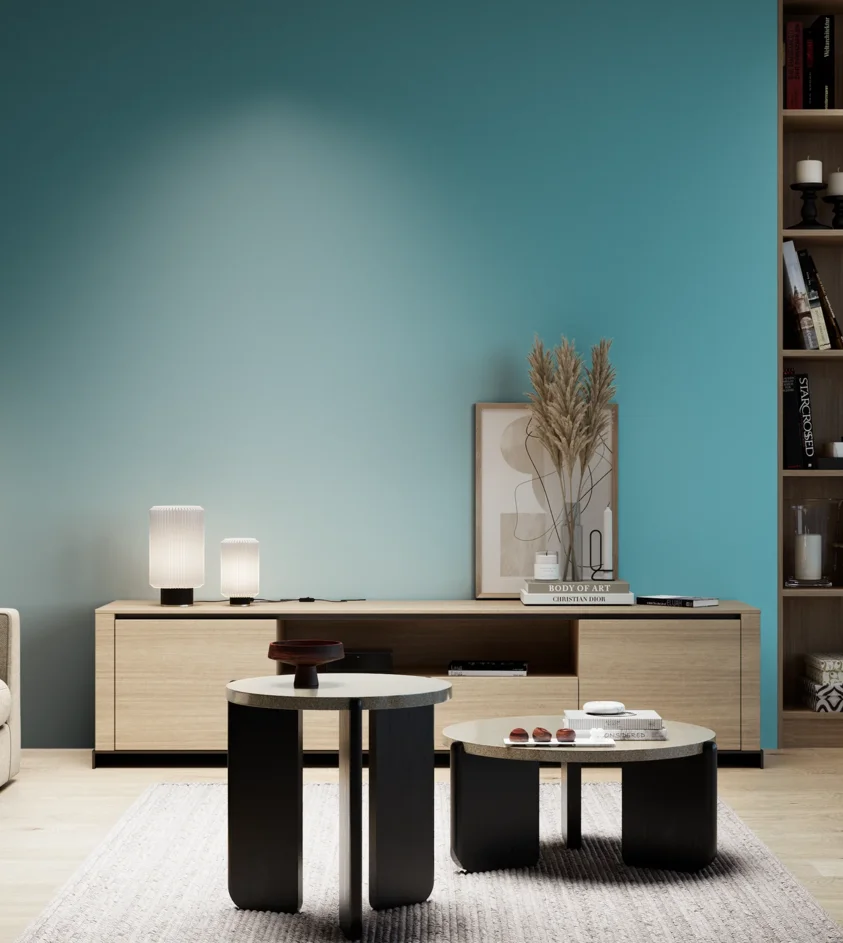 P10_SNIEZKA_salon_05_zimne_GREY_S2040-B20G