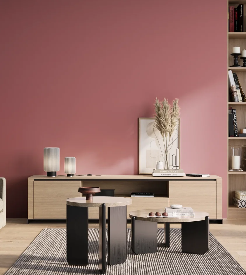 P10_SNIEZKA_salon_01_poranek_GREY_S2040-R10B