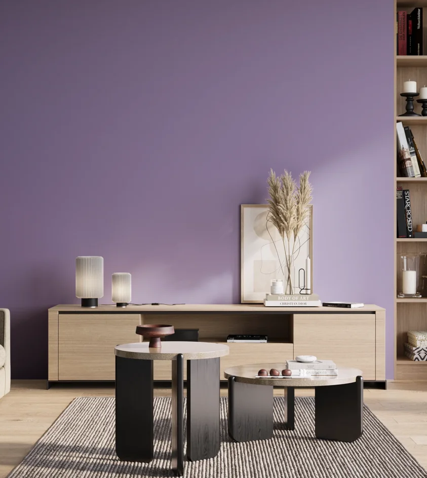 P10_SNIEZKA_salon_01_poranek_GREY_S2040-R60B