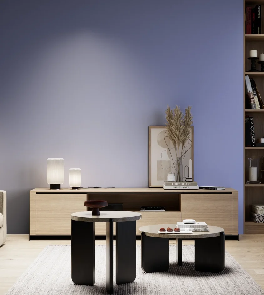 P10_SNIEZKA_salon_05_zimne_GREY_S2040-R70B
