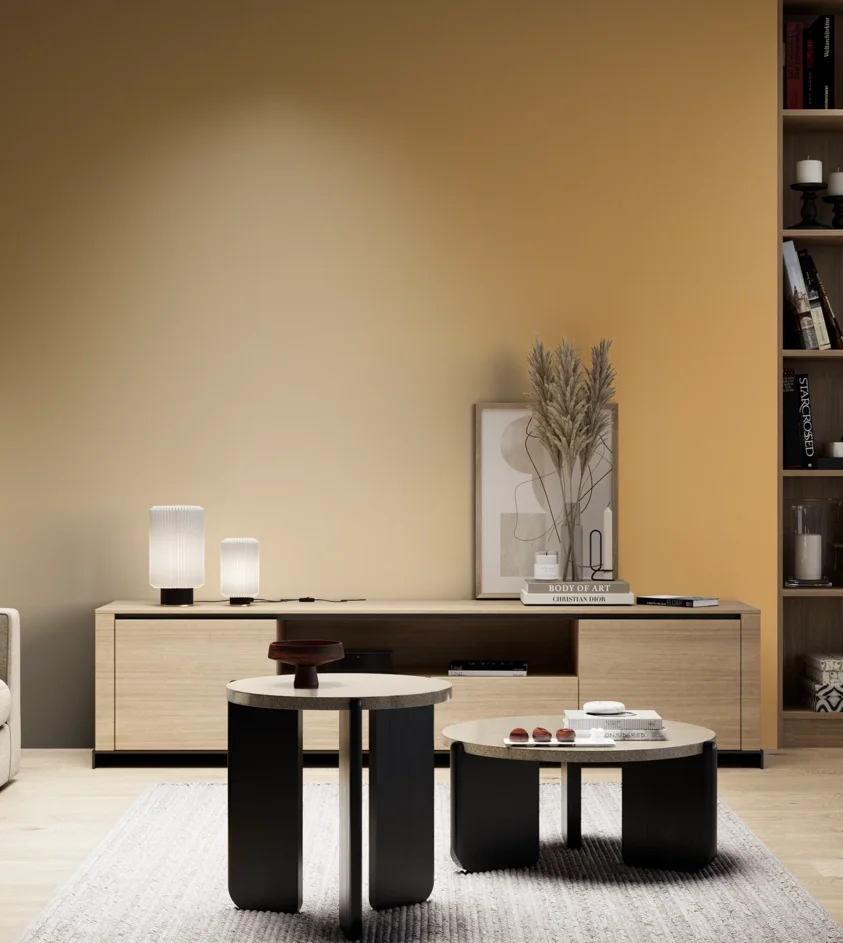 P10_SNIEZKA_salon_05_zimne_GREY_S2040-Y20R