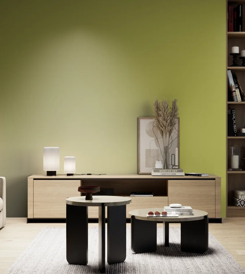 P10_SNIEZKA_salon_05_zimne_GREY_S2050-G70Y