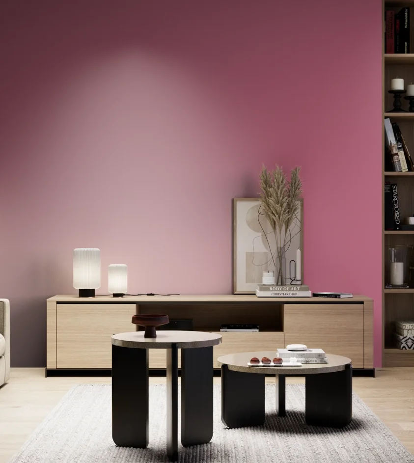 P10_SNIEZKA_salon_05_zimne_GREY_S2050-R20B