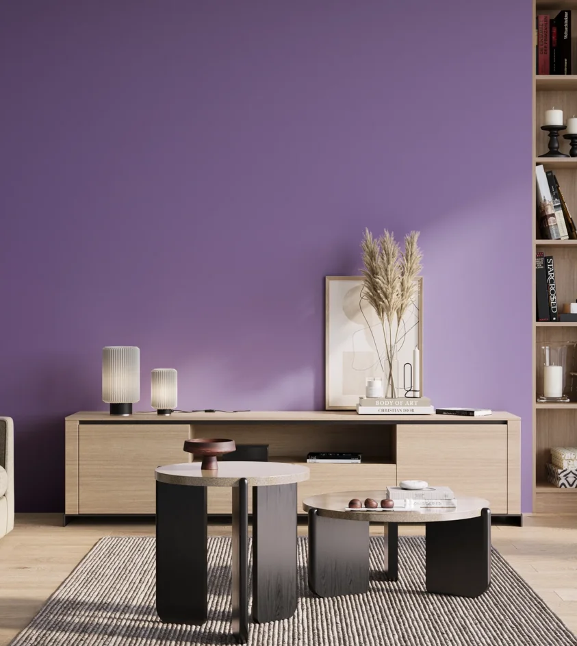 P10_SNIEZKA_salon_01_poranek_GREY_S2050-R60B