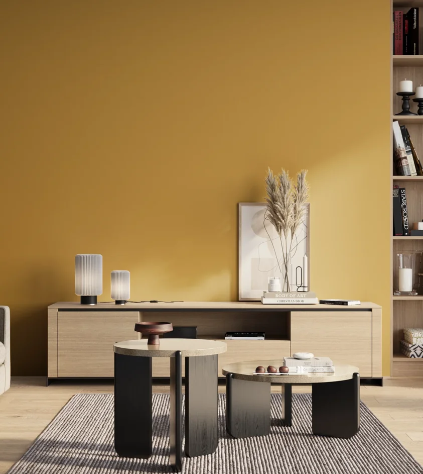 P10_SNIEZKA_salon_01_poranek_GREY_S2050-Y10R
