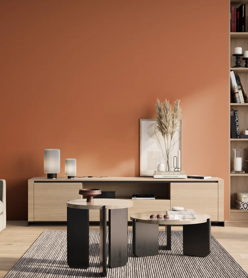 P10_SNIEZKA_salon_01_poranek_GREY_S2050-Y60R