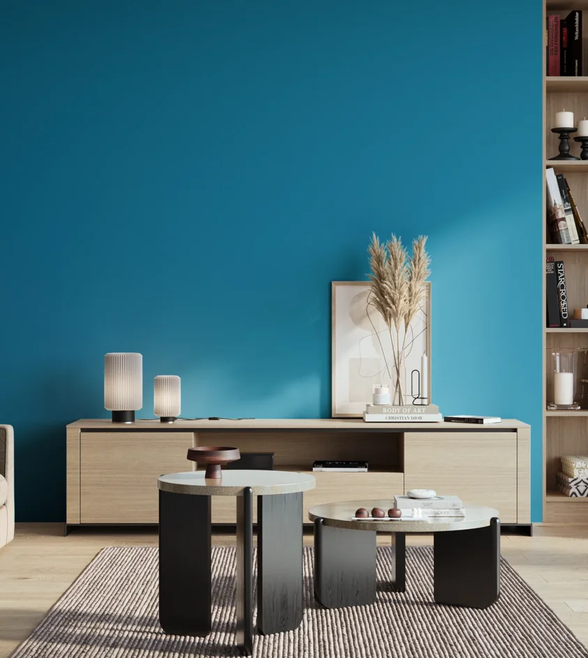P10_SNIEZKA_salon_01_poranek_GREY_S2060-B
