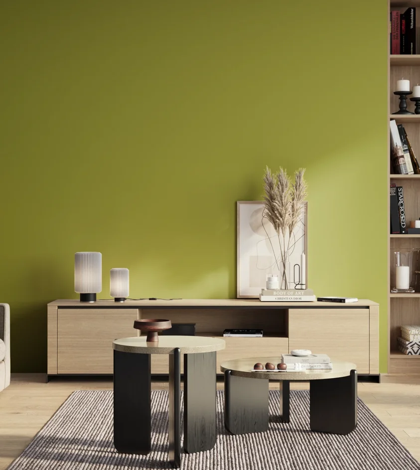 P10_SNIEZKA_salon_01_poranek_GREY_S2060-G60Y