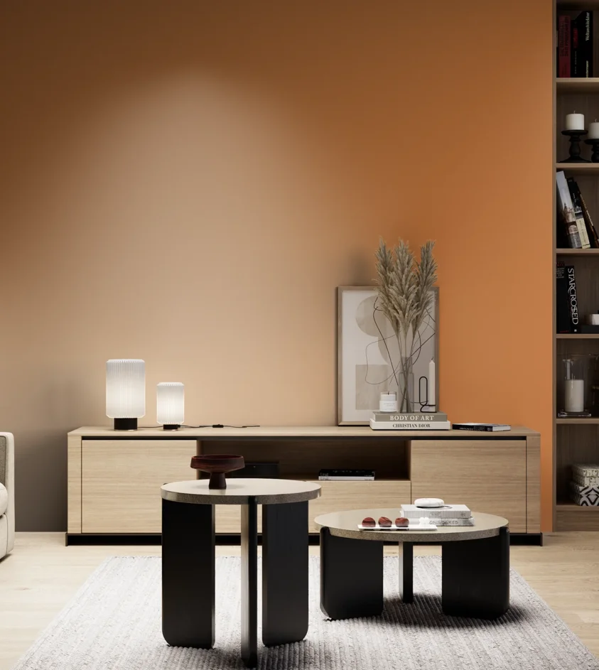 P10_SNIEZKA_salon_05_zimne_GREY_S2060-Y40R