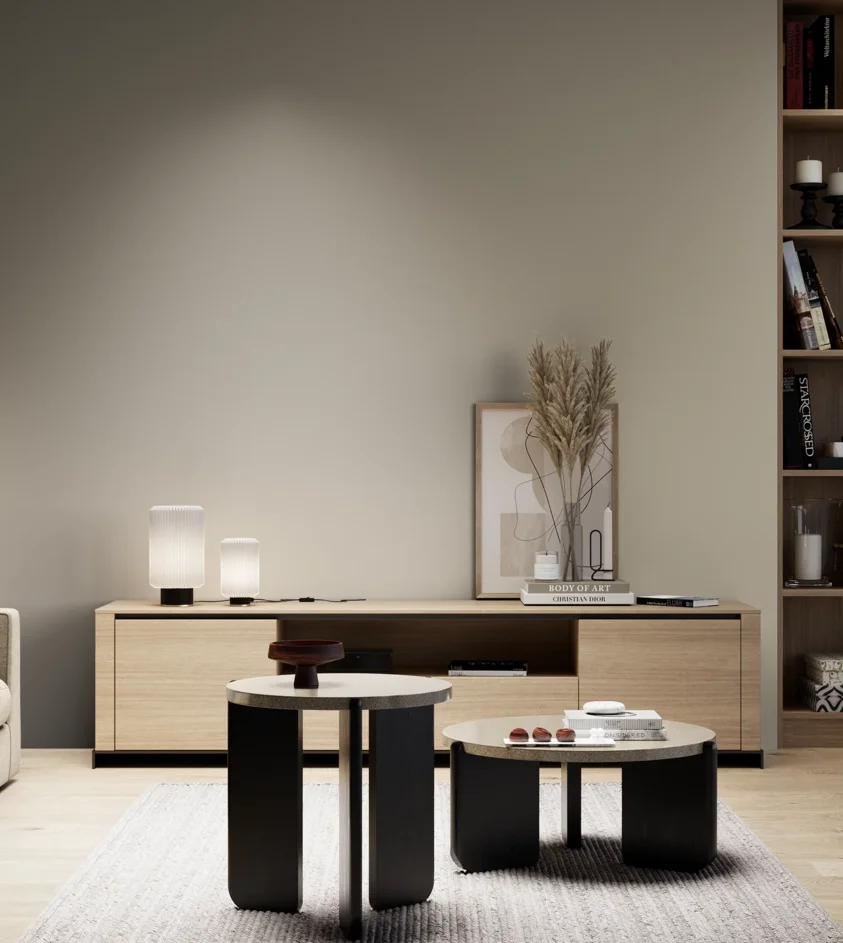 P10_SNIEZKA_salon_05_zimne_GREY_S3005-Y20R