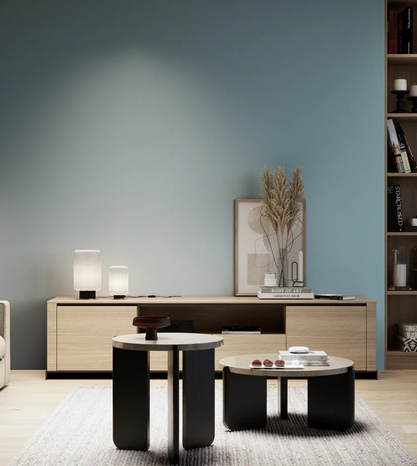 P10_SNIEZKA_salon_05_zimne_GREY_S3020-B10G
