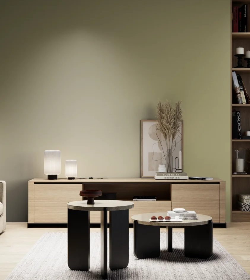 P10_SNIEZKA_salon_05_zimne_GREY_S3020-G80Y