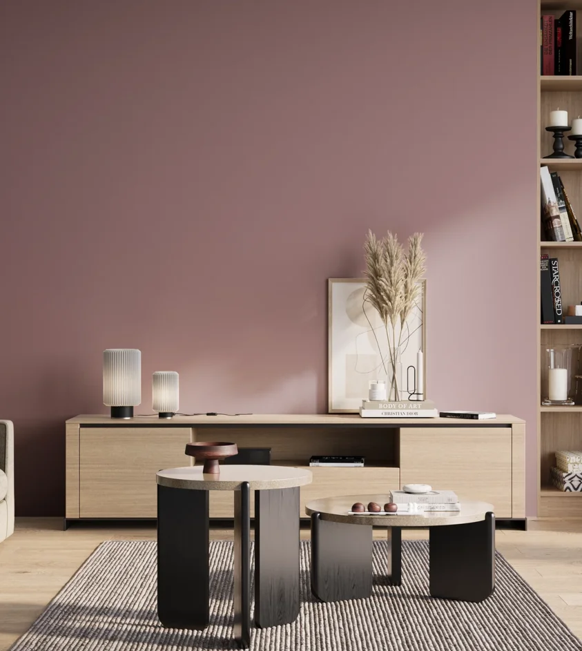 P10_SNIEZKA_salon_01_poranek_GREY_S3020-R20B