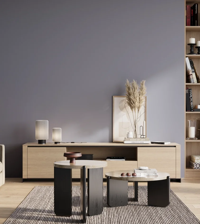 P10_SNIEZKA_salon_01_poranek_GREY_S3020-R70B