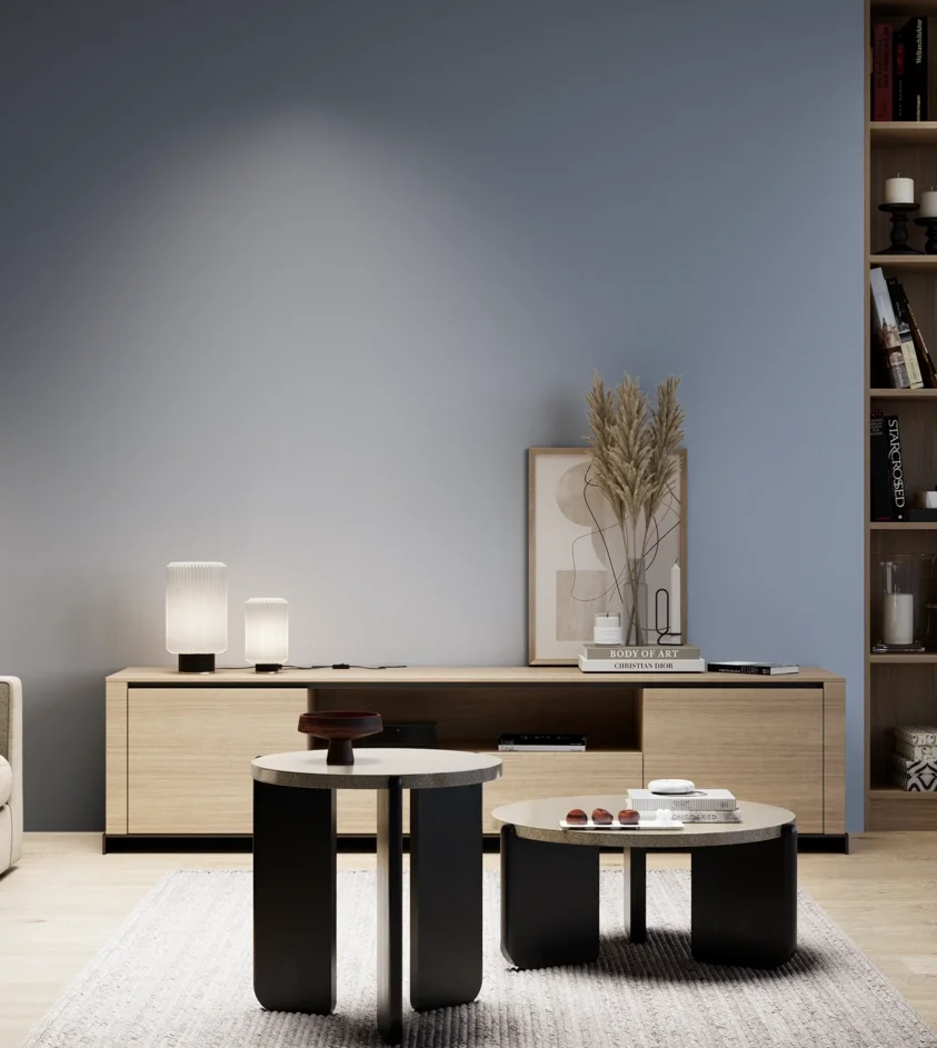 P10_SNIEZKA_salon_05_zimne_GREY_S3020-R80B