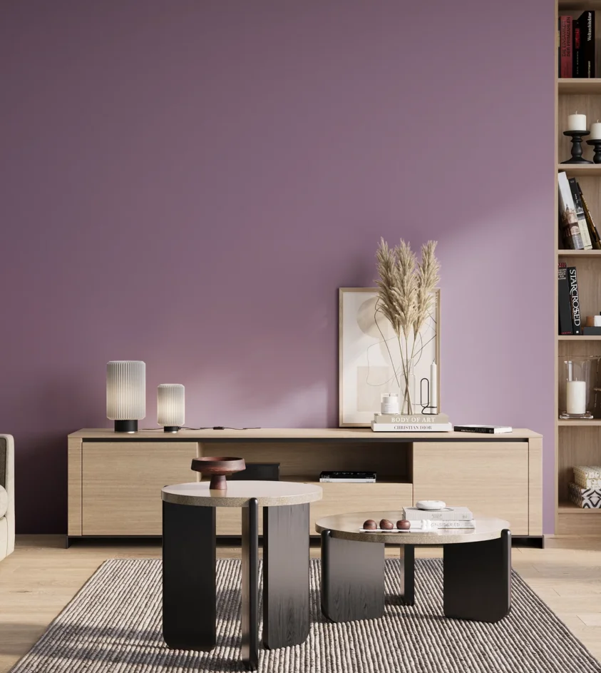 P10_SNIEZKA_salon_01_poranek_GREY_S3030-R50B