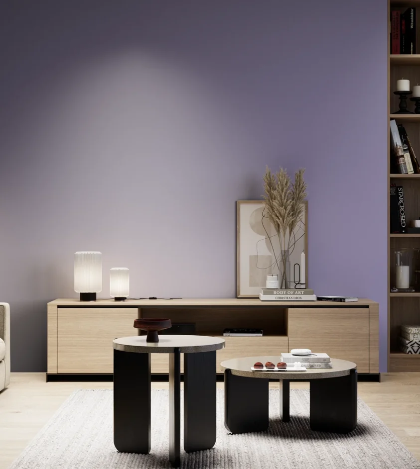 P10_SNIEZKA_salon_05_zimne_GREY_S3030-R60B