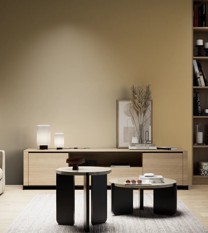 P10_SNIEZKA_salon_05_zimne_GREY_S3030-Y10R