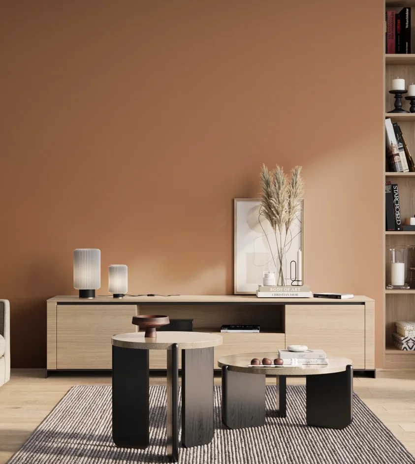 P10_SNIEZKA_salon_01_poranek_GREY_S3030-Y50R