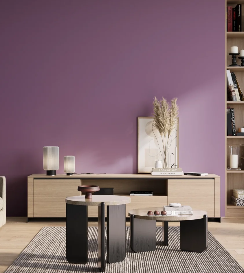 P10_SNIEZKA_salon_01_poranek_GREY_S3040-R50B