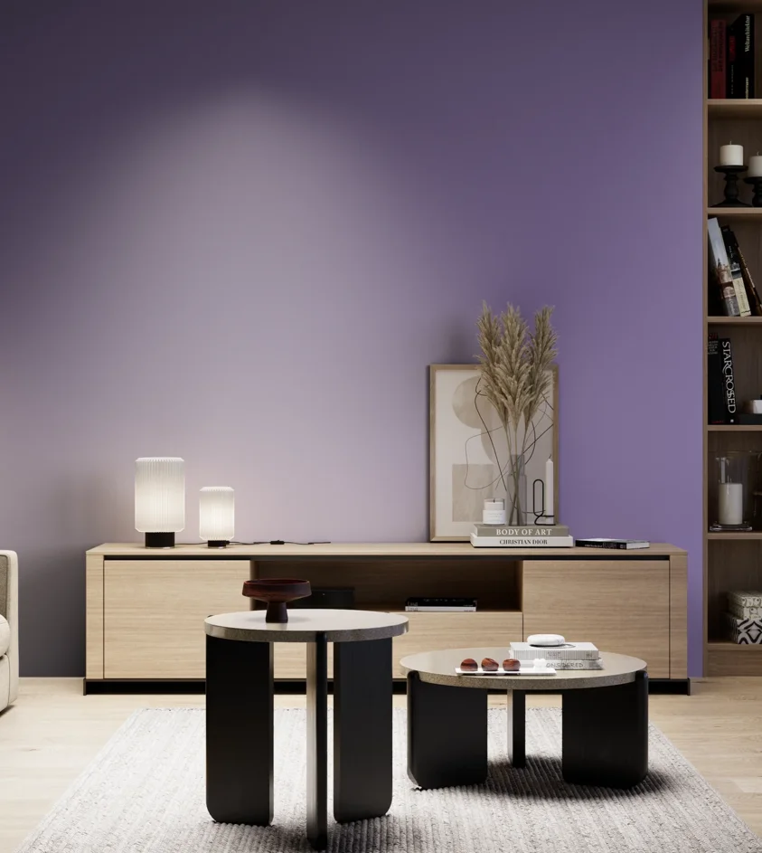 P10_SNIEZKA_salon_05_zimne_GREY_S3040-R60B