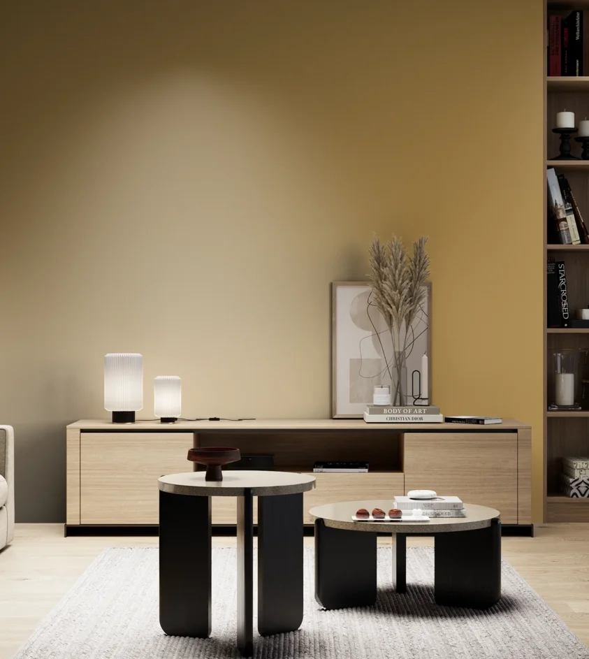 P10_SNIEZKA_salon_05_zimne_GREY_S3040-Y10R