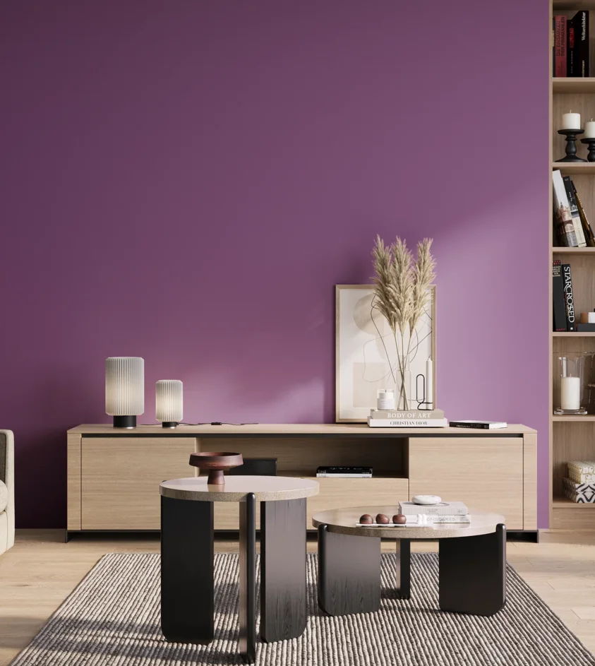 P10_SNIEZKA_salon_01_poranek_GREY_S3050-R50B