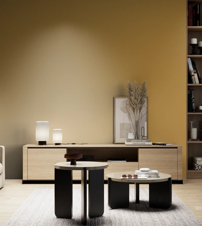 P10_SNIEZKA_salon_05_zimne_GREY_S3050-Y10R