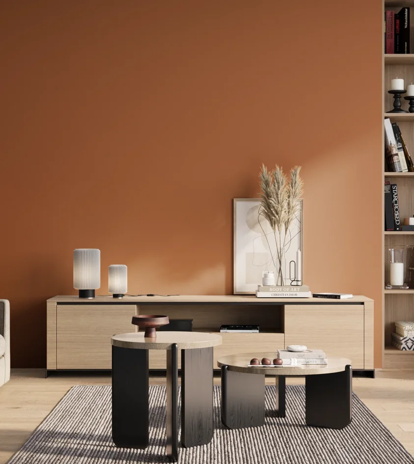 P10_SNIEZKA_salon_01_poranek_GREY_S3050-Y50R