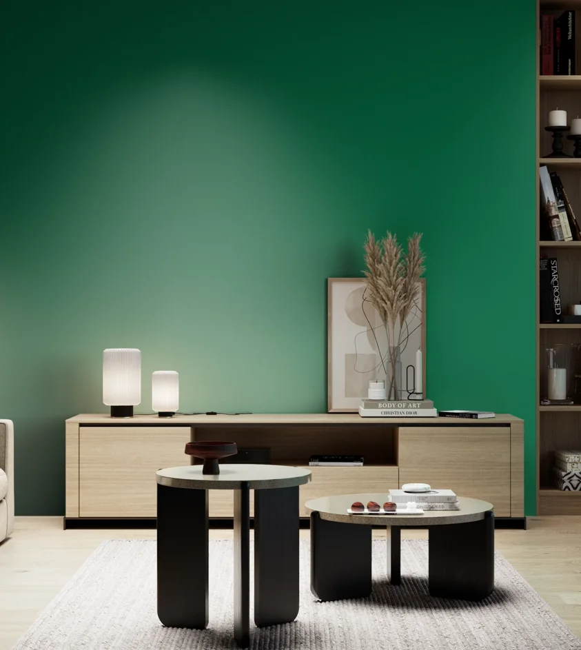 P10_SNIEZKA_salon_05_zimne_GREY_S3560-G