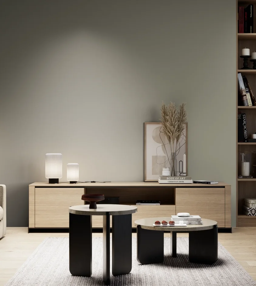 P10_SNIEZKA_salon_05_zimne_GREY_S4005-G80Y