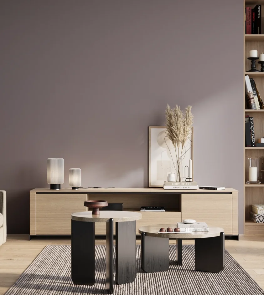 P10_SNIEZKA_salon_01_poranek_GREY_S4010-R50B