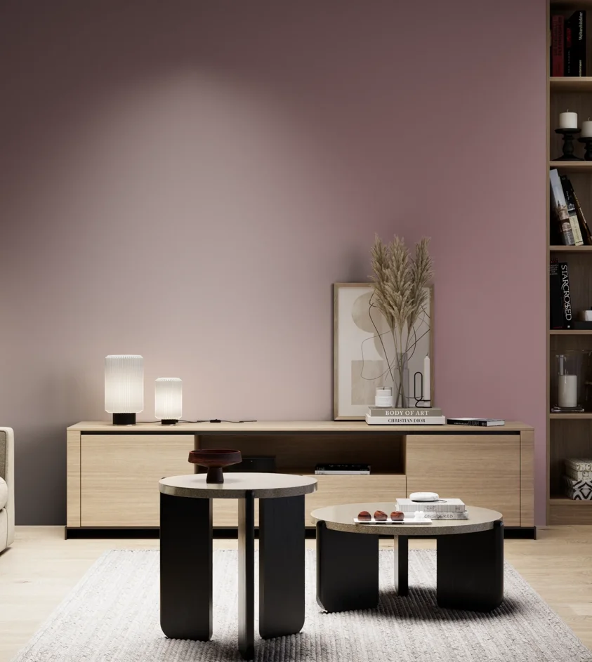 P10_SNIEZKA_salon_05_zimne_GREY_S4020-R10B