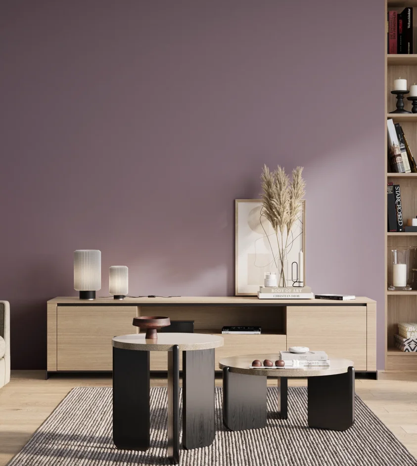 P10_SNIEZKA_salon_01_poranek_GREY_S4020-R50B