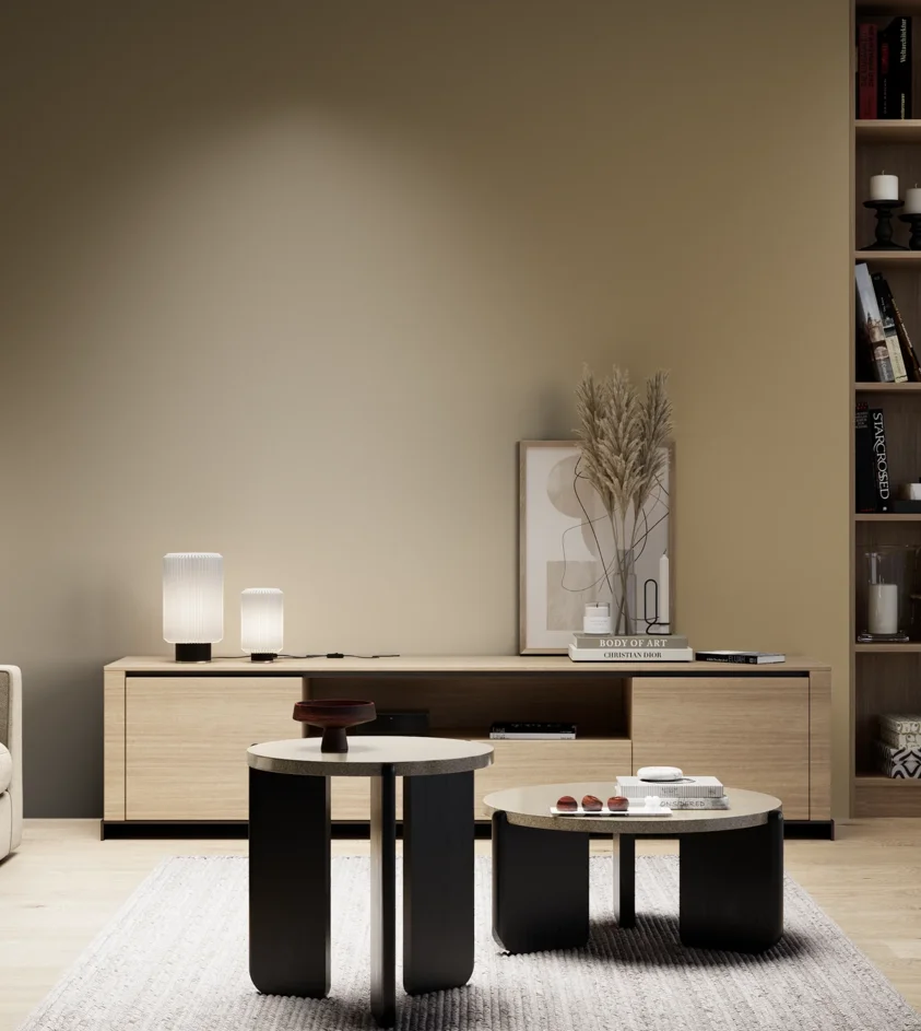 P10_SNIEZKA_salon_05_zimne_GREY_S4020-Y10R