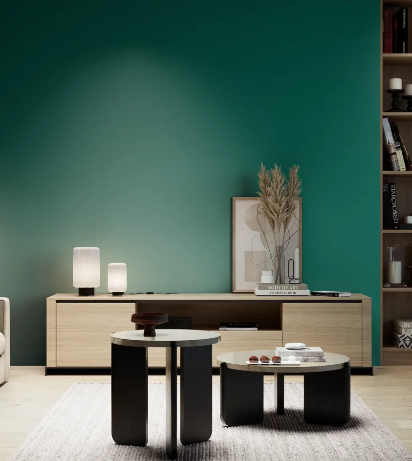 P10_SNIEZKA_salon_05_zimne_GREY_S4550-B80G
