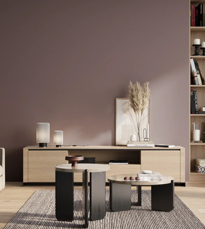 P10_SNIEZKA_salon_01_poranek_GREY_S5010-R30B