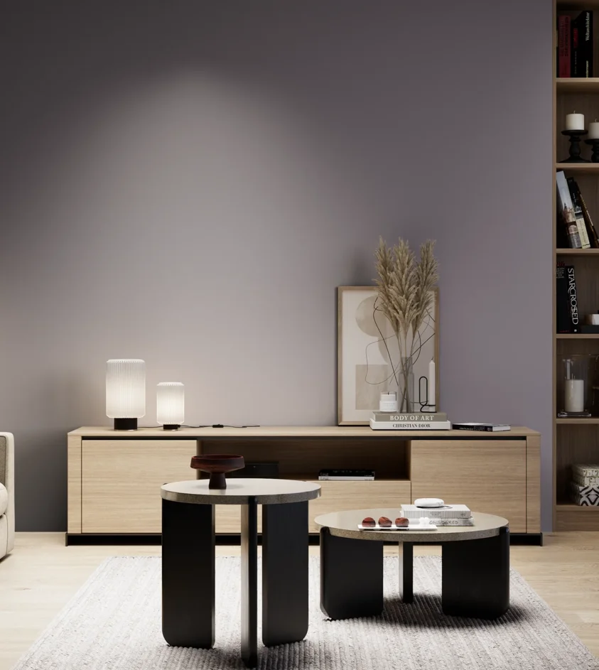 P10_SNIEZKA_salon_05_zimne_GREY_S5010-R50B