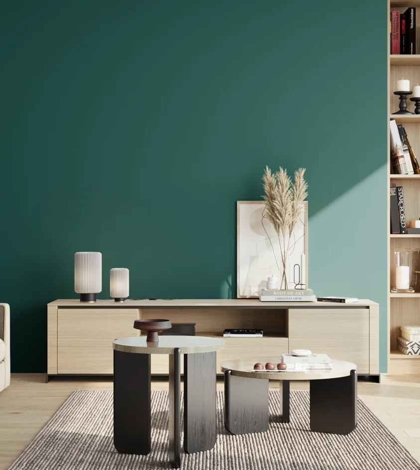 P10_SNIEZKA_salon_02_poludnie_GREY_S5540-B50G