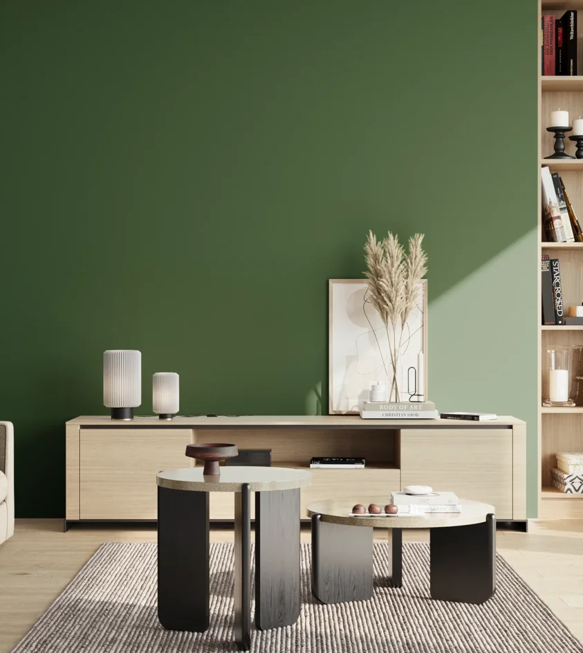 P10_SNIEZKA_salon_02_poludnie_GREY_S5540-G20Y