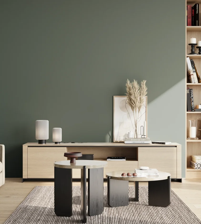 P10_SNIEZKA_salon_02_poludnie_GREY_S6010-B90G