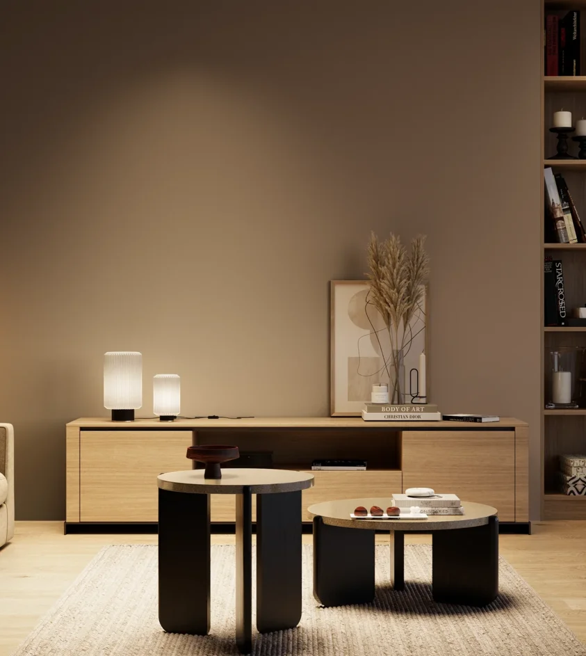 P10_SNIEZKA_salon_04_cieple_GREY_S6010-Y50R