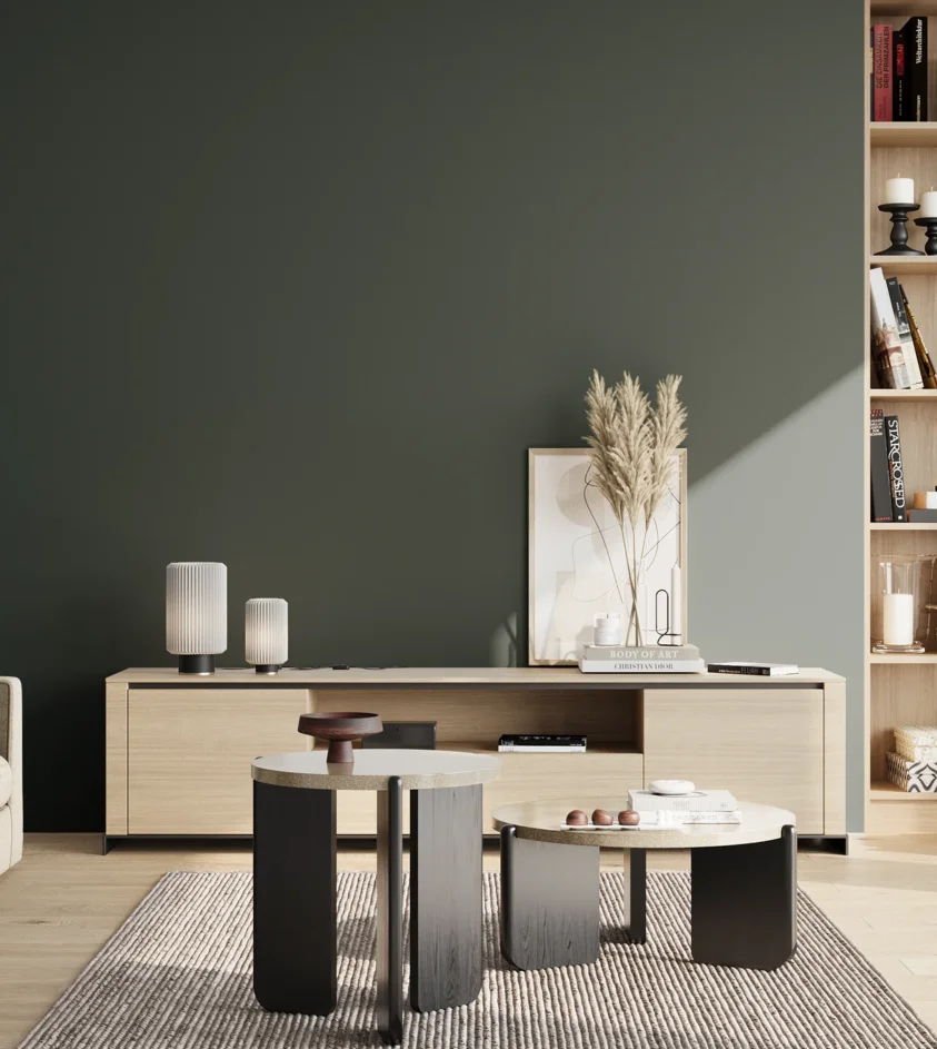 P10_SNIEZKA_salon_02_poludnie_GREY_S8010-B70G