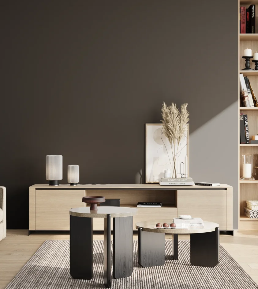 P10_SNIEZKA_salon_02_poludnie_GREY_S9000-N