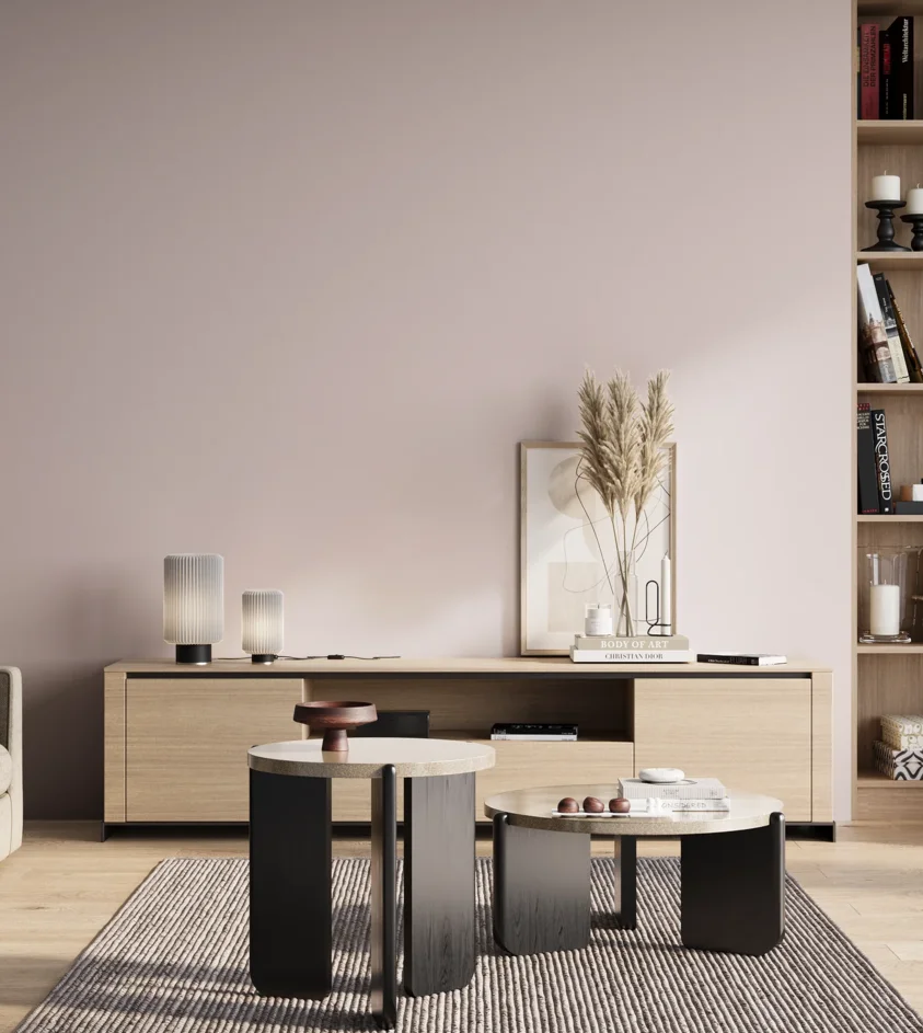 P10_SNIEZKA_salon_01_poranek_GREY_S0507-R20B