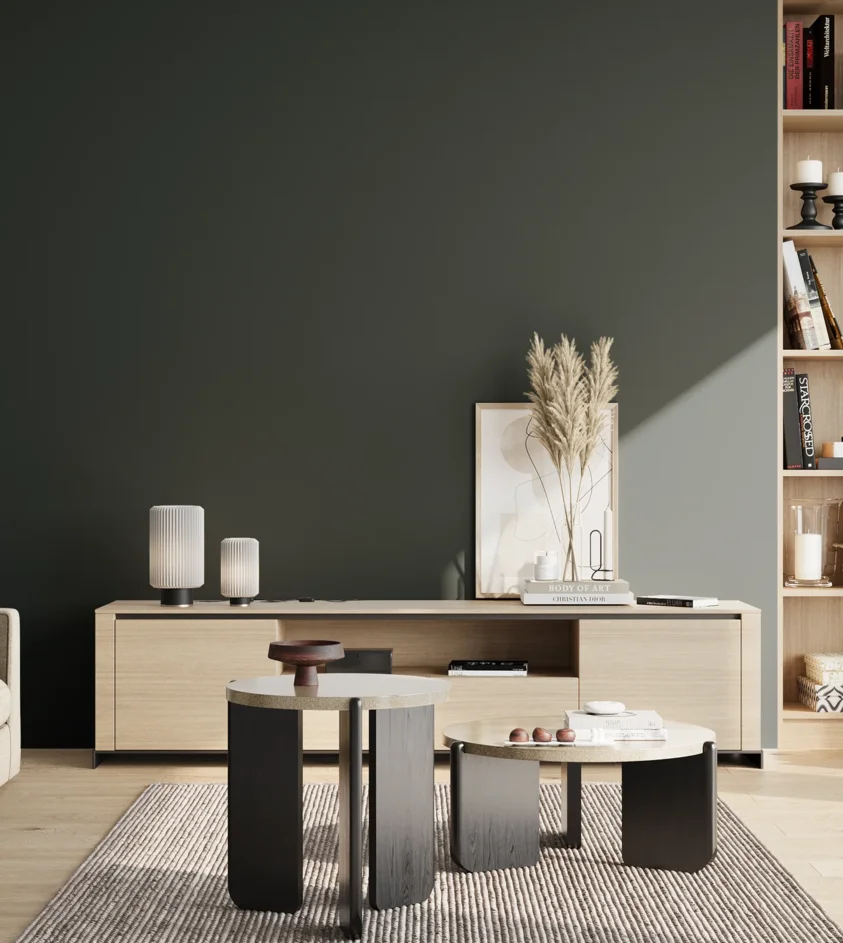 P10_SNIEZKA_salon_02_poludnie_GREY_S8005-B50G