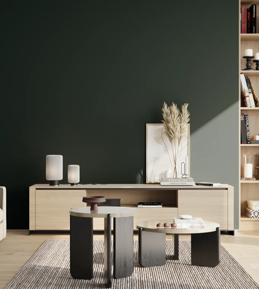 P10_SNIEZKA_salon_02_poludnie_GREY_S8505-B50G